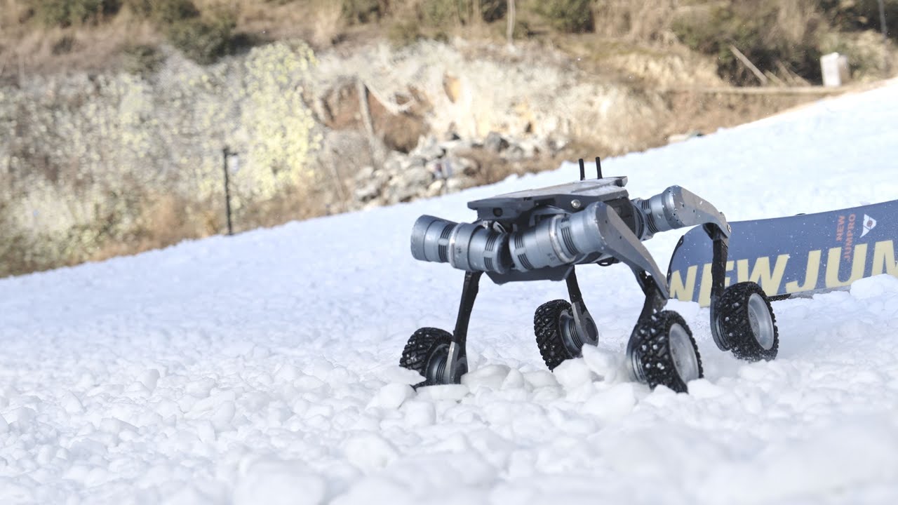Hottest On The Ice | DEEPRobotics Lynx New Flex