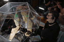 Sonoma Film Festivali