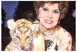 Sturgill Simpson'ın Fiziksel Albümü Billboard 200'de Zirveye Tırmandı 3 Sturgill Simpson Billboard başarısı