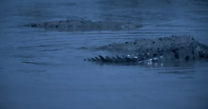 Alexandra Latishev'in Sirens filmi