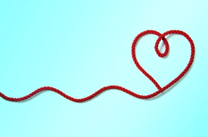 Sonder randevu uygulaması