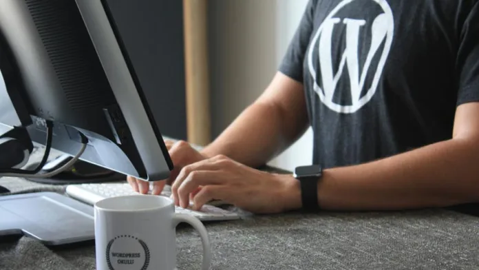 WordPress güvenlik açığı