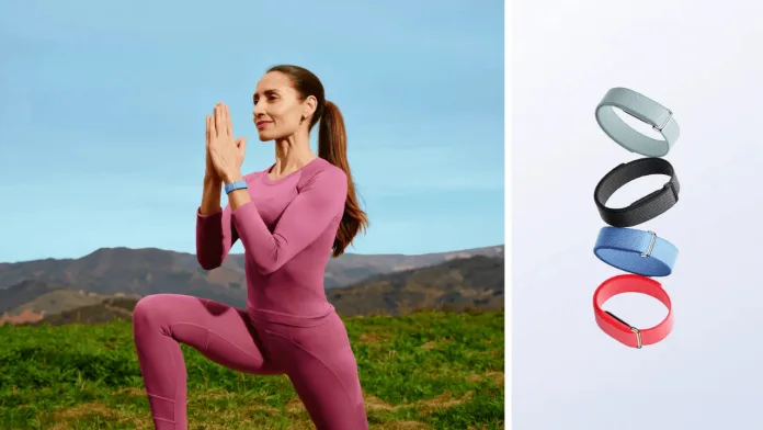 Fitbit Air