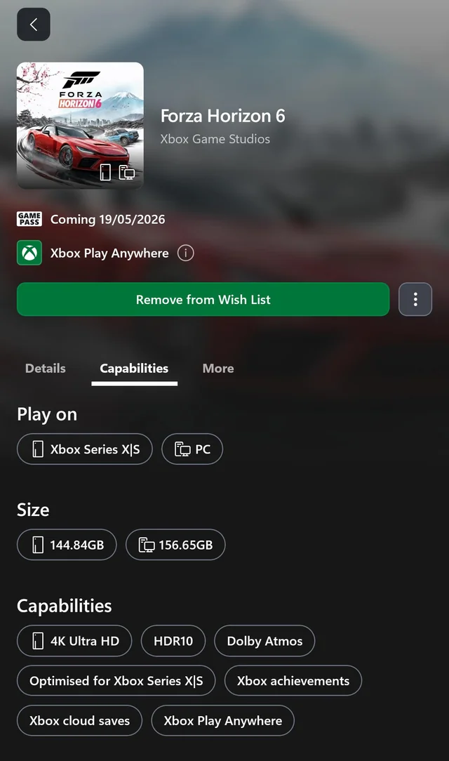 Forza Horizon 6 dosya boyutu