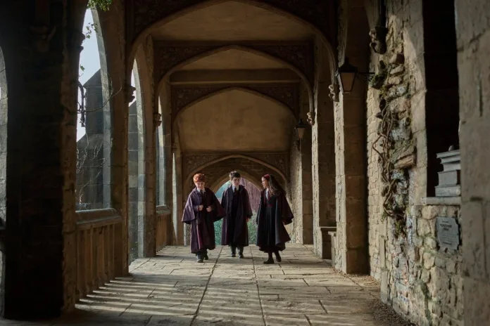 Harry Potter dizisi
