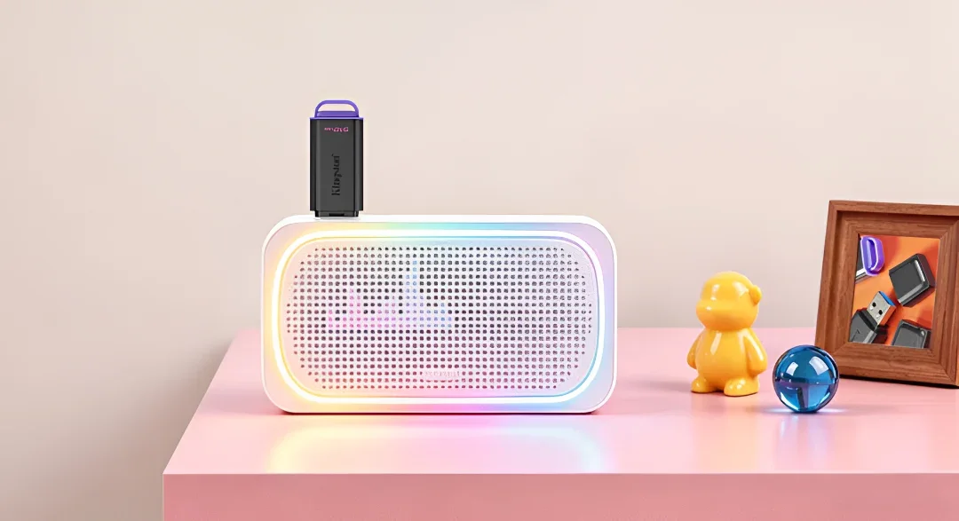 Kingston USB bellek