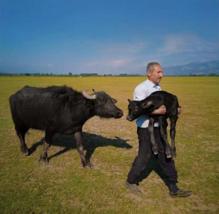 Tokatlı Fotoğrafçı Coruş'un Uluslararası Ödül Krizi, Bakanlık Müdahalesiyle Mutlu Sonla Bitti Tokatlı fotoğrafçı Mehmet Emin Coruş